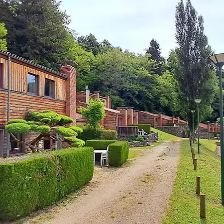 Olydea Vorey-sur-arzon 3*