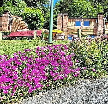 Olydea Vorey-sur-arzon 3* Vorey