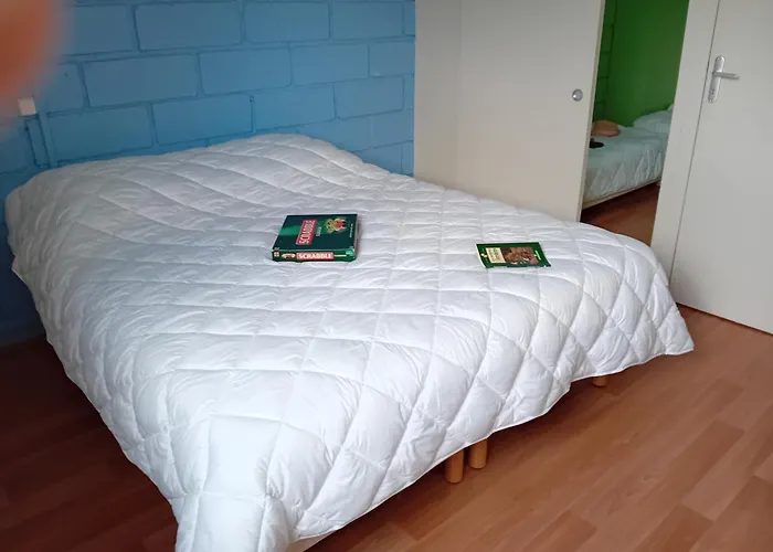 Olydea Vorey-sur-arzon 3*